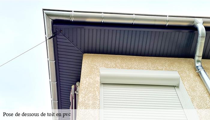 Pose de dessous de toit en pvc 39 Jura  Provins Rénovation