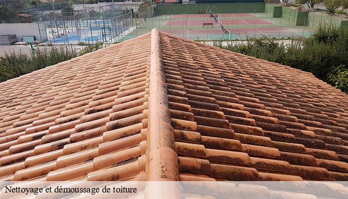 Nettoyage et démoussage de toiture  gendrey-39350 Provins Rénovation