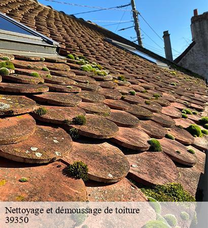 Nettoyage et démoussage de toiture  gendrey-39350 Provins Rénovation