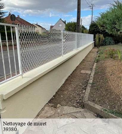 Nettoyage de muret  belmont-39380 Provins Rénovation