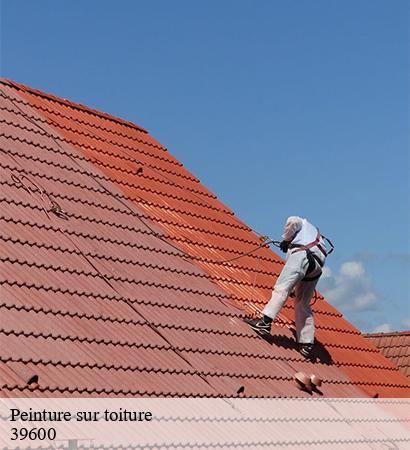 Peinture sur toiture  la-chatelaine-39600 Provins Rénovation